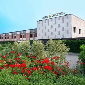 Cangrande Di Soave (Verona)